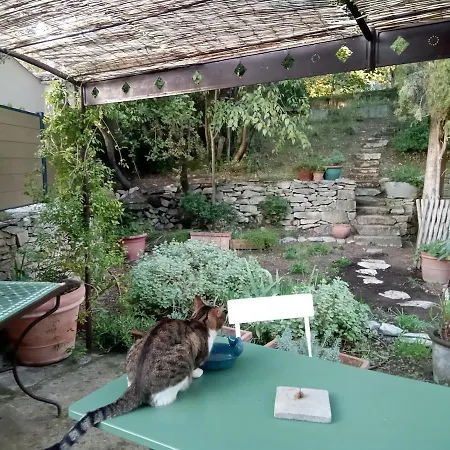Mazet Terrasse Et Jardin * Nîmes